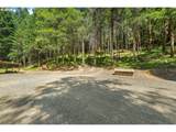 10024 Hubbard Creek Rd - Photo 30