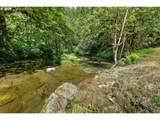 10024 Hubbard Creek Rd - Photo 41