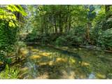 10024 Hubbard Creek Rd - Photo 42