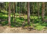 10024 Hubbard Creek Rd - Photo 43