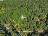 10024 Hubbard Creek Rd - Photo 46