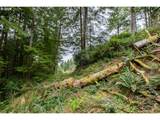  Lot 2800 - Photo 20