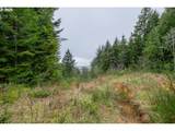  Lot 2800 - Photo 7