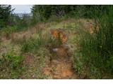  Lot 2800 - Photo 8