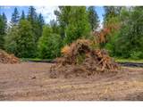 10392 Wind River Hwy - Photo 5