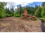 10392 Wind River Hwy - Photo 9