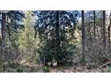 000 Schauer Dr - Photo 14