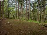 455 Country Club Rd - Photo 17