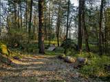 455 Country Club Rd - Photo 28