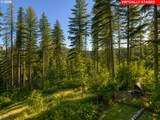 32146 Viewcrest Dr - Photo 8