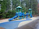 15050 Warbler Way - Photo 29