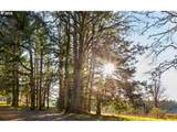 4210 Breyman Orchards Rd - Photo 32