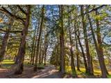 4210 Breyman Orchards Rd - Photo 33