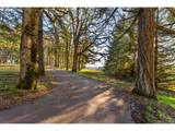 4210 Breyman Orchards Rd - Photo 34