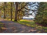 4210 Breyman Orchards Rd - Photo 35