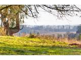 4210 Breyman Orchards Rd - Photo 37