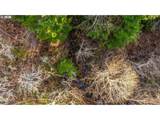  Stoller Rd - Photo 18