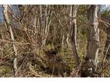  Stoller Rd - Photo 23