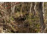  Stoller Rd - Photo 32