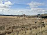29327 Weaver Springs Rd - Photo 38