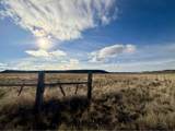 29327 Weaver Springs Rd - Photo 42