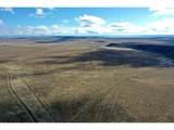 29327 Weaver Springs Rd - Photo 45