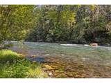  Mckenzie River Dr - Photo 15