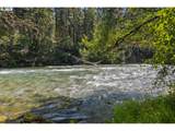  Mckenzie River Dr - Photo 16