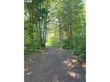  Mckenzie River Dr - Photo 4