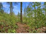 16240 Maple Hill Ln - Photo 36