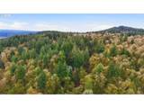 16240 Maple Hill Ln - Photo 41