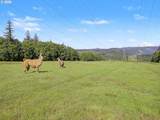 50995 Baty Rd - Photo 44