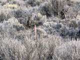  Aspen St - Photo 14