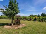 30125 Scotch Church Rd - Photo 46