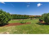 3035 12TH St - Photo 45