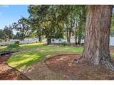 6644 Rippling Brook Dr - Photo 39