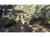  Carpenterville Rd - Photo 10