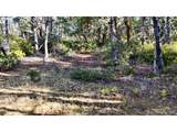  Carpenterville Rd - Photo 16