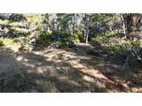  Carpenterville Rd - Photo 8