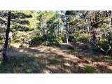  Carpenterville Rd - Photo 9