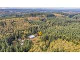 29100 Zimmerman Rd - Photo 43