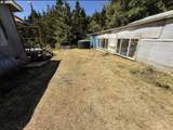 8790 Kinglet St - Photo 13