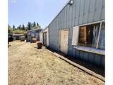 8790 Kinglet St - Photo 14