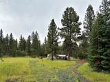 0 Old Trestle Rd - Photo 10