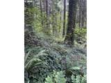 6829 144TH Ave - Photo 41