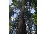 6829 144TH Ave - Photo 42