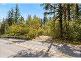 30815 Sunset Falls Rd - Photo 3