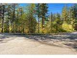 30815 Sunset Falls Rd - Photo 9