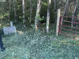 217 Ham Rd - Photo 4