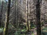 00 Wildcat Mountain Dr - Photo 10